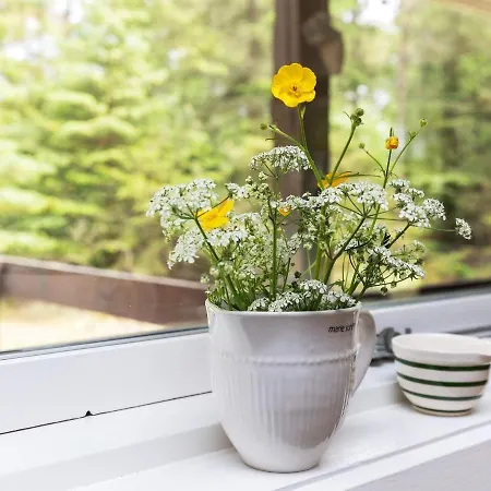 Feriehus Holiday Blomstervangen Vii Ålbæk